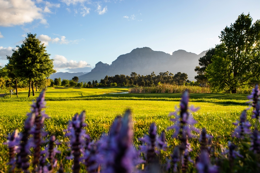 4 Bedroom Property for Sale in Pearl Valley at Val de Vie Western Cape